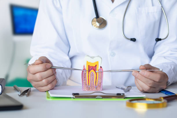 Best Urgent Care for Lost Fillings or Crowns in Lucas, TX